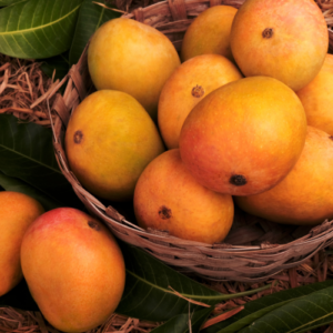 Alphonso Mango Box 3KG (10-12 pcs)